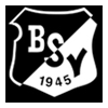 Logo_BSV_100x100
